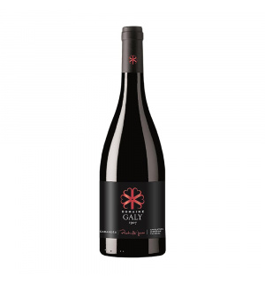 bouteille-rouge-pech-saint-jean-1