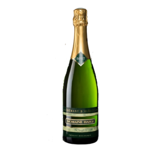 brut haegi 1646103579