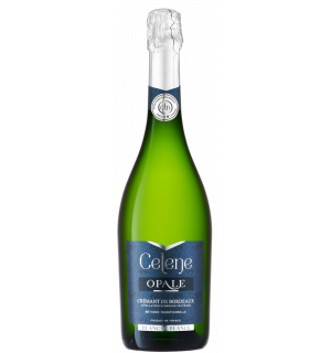 celeneopale-blancdeblanc-1-302x1024