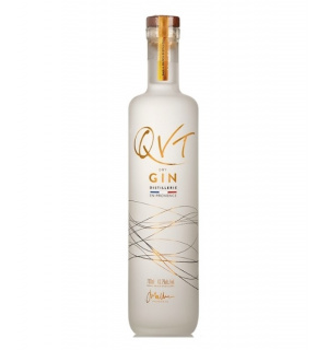 gin qtv